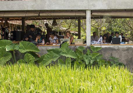 É um luxo trabalhar no Hubud, em Bali