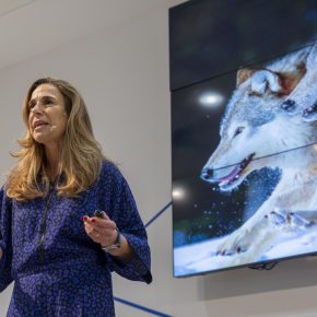 7.° Grande Conferência Liderança Feminina_Executiva_Porto2022