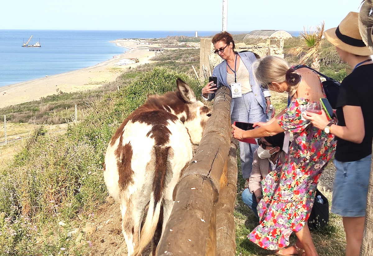 Encontro inesperado à beira das ruínas do Mercado Sarraceno de Ciró Marina.